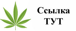 Купить наркотики в Карачаевске